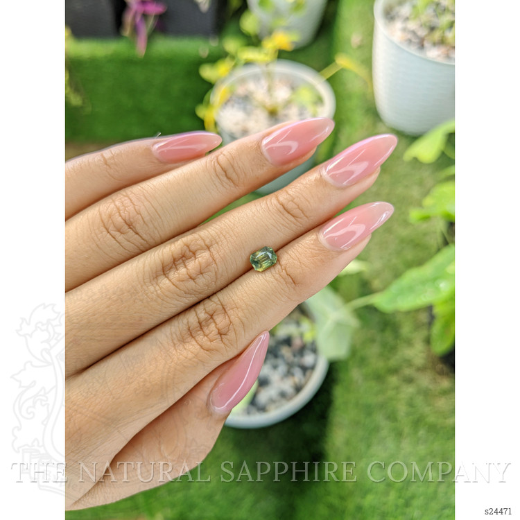 1.02 Ct. Yellowish Green Sapphire from Ceylon (Sri Lanka)