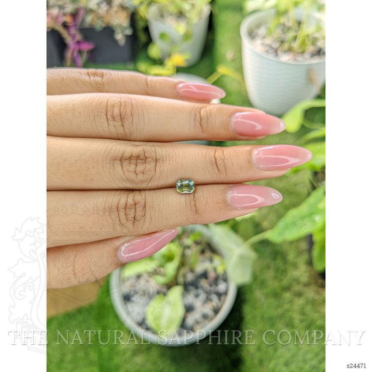 1.02 Ct. Yellowish Green Sapphire from Ceylon (Sri Lanka)