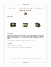 4.05 Ct. Green Sapphire from Ceylon (Sri Lanka) Appraisal