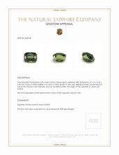 4.05 Ct. Sapphire from Ceylon (Sri Lanka) Appraisal