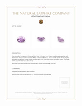 1.02 Ct. Sapphire from Ceylon (Sri Lanka) Appraisal