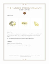 15.60 Ct. Yellow Sapphire from Ceylon (Sri Lanka) Appraisal