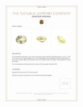 15.60 Ct. Yellow Sapphire from Ceylon (Sri Lanka) Appraisal
