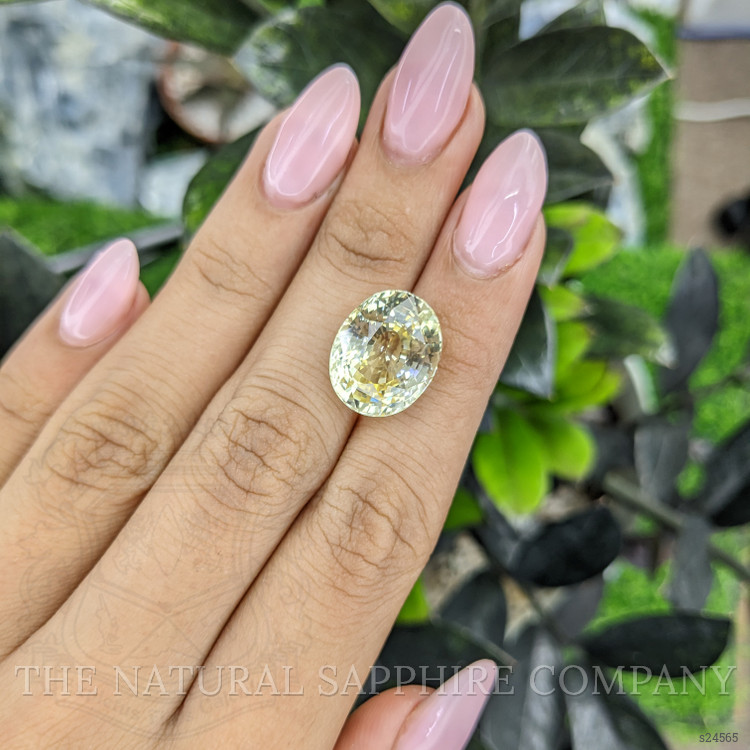 15.60 Ct. Yellow Sapphire from Ceylon (Sri Lanka)