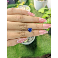 3.12 Ct. Blue Sapphire from Ceylon (Sri Lanka) Life Style