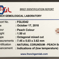 Jewelry Scan Report