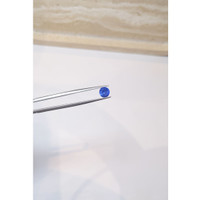 1.62 Ct. Blue Sapphire from Ceylon (Sri Lanka) Life Style
