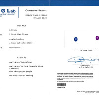 2.90 Ct. Color Change Star Sapphire from Ceylon (Sri Lanka) Scan Report
