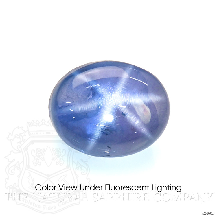 2.90 Ct. Color Change Star Sapphire from Ceylon (Sri Lanka)
