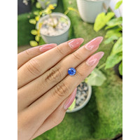 1.73 Ct. Blue Sapphire from Ceylon (Sri Lanka) Life Style
