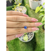 1.73 Ct. Blue Sapphire from Ceylon (Sri Lanka) Life Style