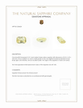 Jewelry Appraisal