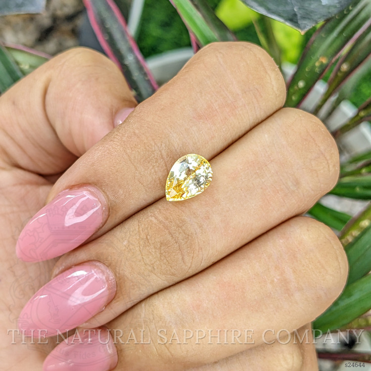 2.78 Ct. Yellow Sapphire from Ceylon (Sri Lanka)