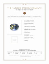 Jewelry Scan Report