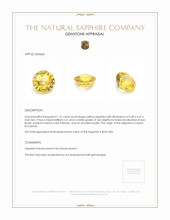 Jewelry Appraisal