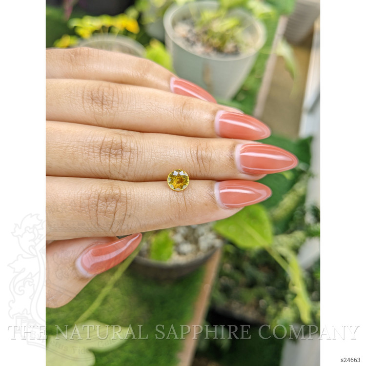1.31 Ct. Yellow Sapphire from Ceylon (Sri Lanka)