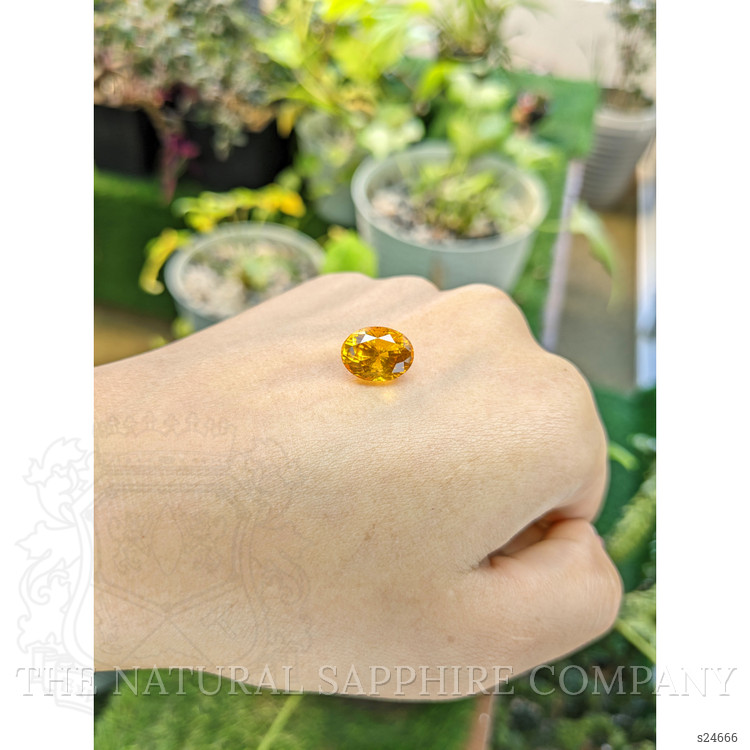 7.20 Ct. Yellowish Orange Sapphire from Ceylon (Sri Lanka)
