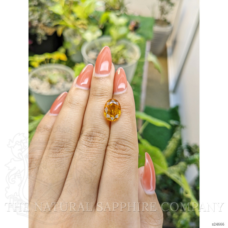 7.20 Ct. Yellowish Orange Sapphire from Ceylon (Sri Lanka)