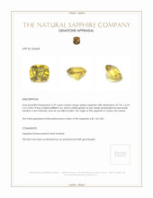 2.29 Ct. Sapphire from Ceylon (Sri Lanka) Appraisal