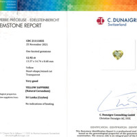 12.92 Ct. Orangish Yellow Sapphire from Ceylon (Sri Lanka) Scan Report