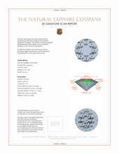 Jewelry 3 D Scan Report