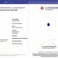 3.02 Ct. Blue Sapphire from Ceylon (Sri Lanka) Scan Report