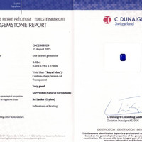 3.02 Ct. Blue Sapphire from Ceylon (Sri Lanka) Scan Report