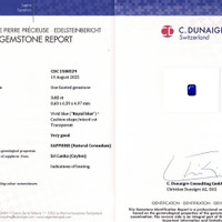 3.02 Ct. Blue Sapphire from Ceylon (Sri Lanka) Scan Report