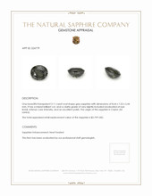 3.11 Ct. Grey Sapphire from Ceylon (Sri Lanka) Appraisal