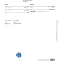 Jewelry Scan Report