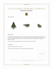 4.09 Ct. Brownish Green Sapphire from Ceylon (Sri Lanka) Appraisal