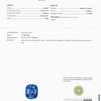 11.28 Ct. Blue Sapphire from Ceylon (Sri Lanka) Scan Report