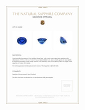 4.00 Ct. Blue Sapphire from Ceylon (Sri Lanka) Appraisal