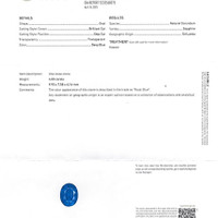4.00 Ct. Blue Sapphire from Ceylon (Sri Lanka) Scan Report