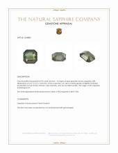 0.93 Ct. Greenish Brown Sapphire from Madagascar Appraisal
