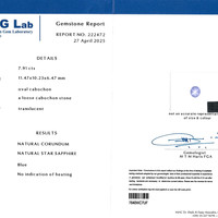 7.91 Ct. Blue Star Sapphire from Ceylon (Sri Lanka) Scan Report