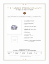 Jewelry Scan Report