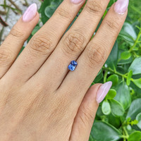 1.37 Ct. Blue Sapphire from Ceylon (Sri Lanka) Life Style
