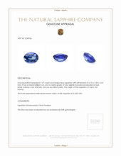 1.07 Ct. Blue Sapphire from Ceylon (Sri Lanka) Appraisal