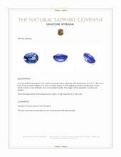 1.07 Ct. Blue Sapphire from Ceylon (Sri Lanka) Appraisal