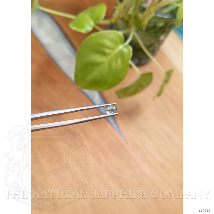 0.80 Ct. Bluish Green Cabochon Sapphire from Montana