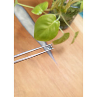 0.83 Ct. Greenish Blue Cabochon Sapphire from Montana Life Style