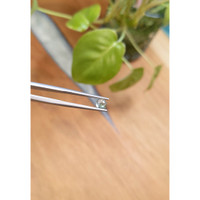 0.73 Ct. Bluish Green Cabochon Sapphire from Montana Life Style