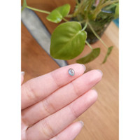 0.74 Ct. Greenish Blue Cabochon Sapphire from Montana Life Style