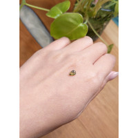 0.78 Ct. Bi Color Cabochon Sapphire from Montana Life Style