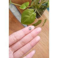 0.84 Ct. Bluish Green Cabochon Sapphire from Montana Life Style