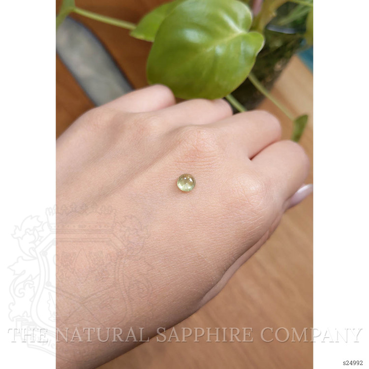 0.91 Ct. Yellowish Green Cabochon Sapphire from Montana