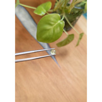 0.91 Ct. Yellowish Green Cabochon Sapphire from Montana Life Style