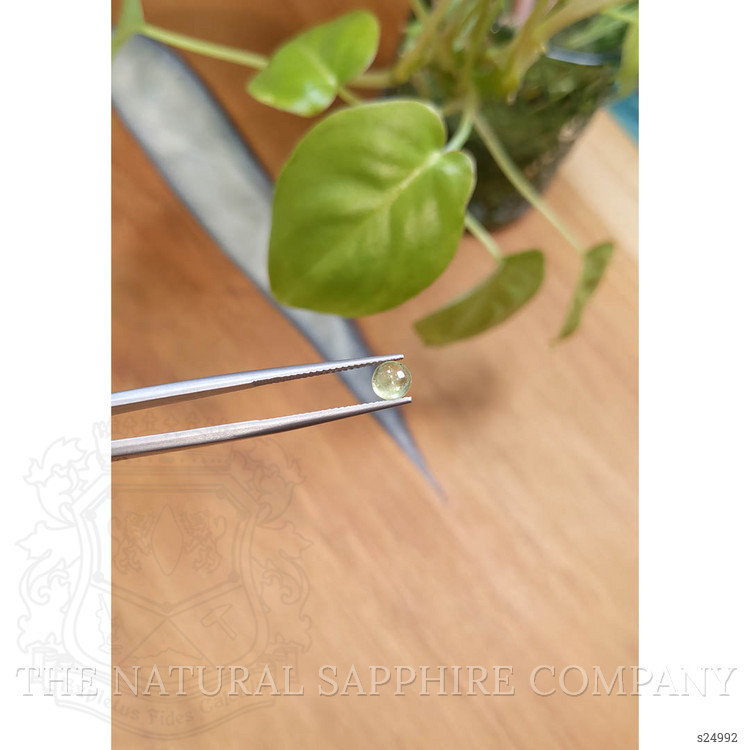 0.91 Ct. Yellowish Green Cabochon Sapphire from Montana