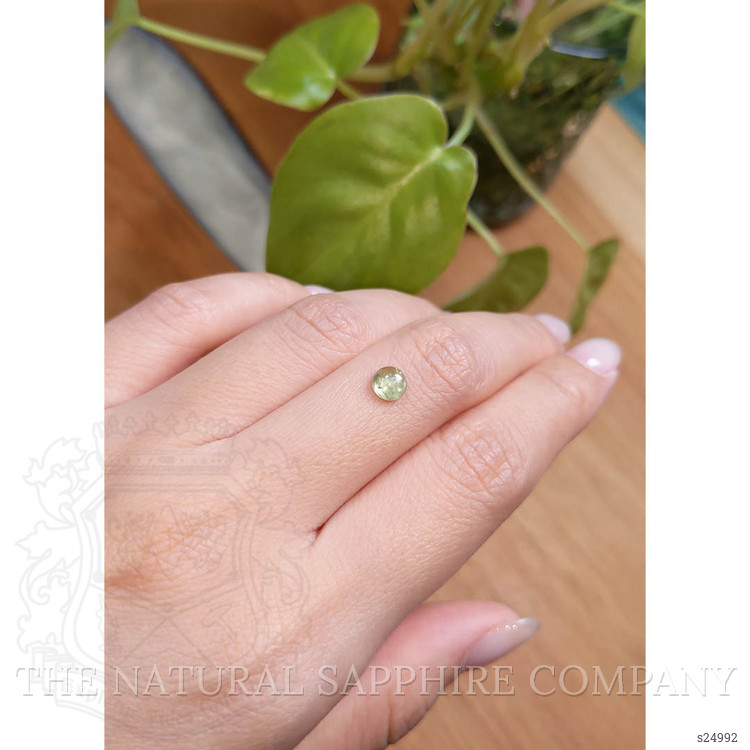 0.91 Ct. Yellowish Green Cabochon Sapphire from Montana